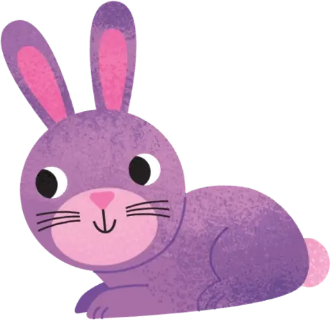 bunny